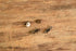 Arrow through Heart Sterling Earrings
